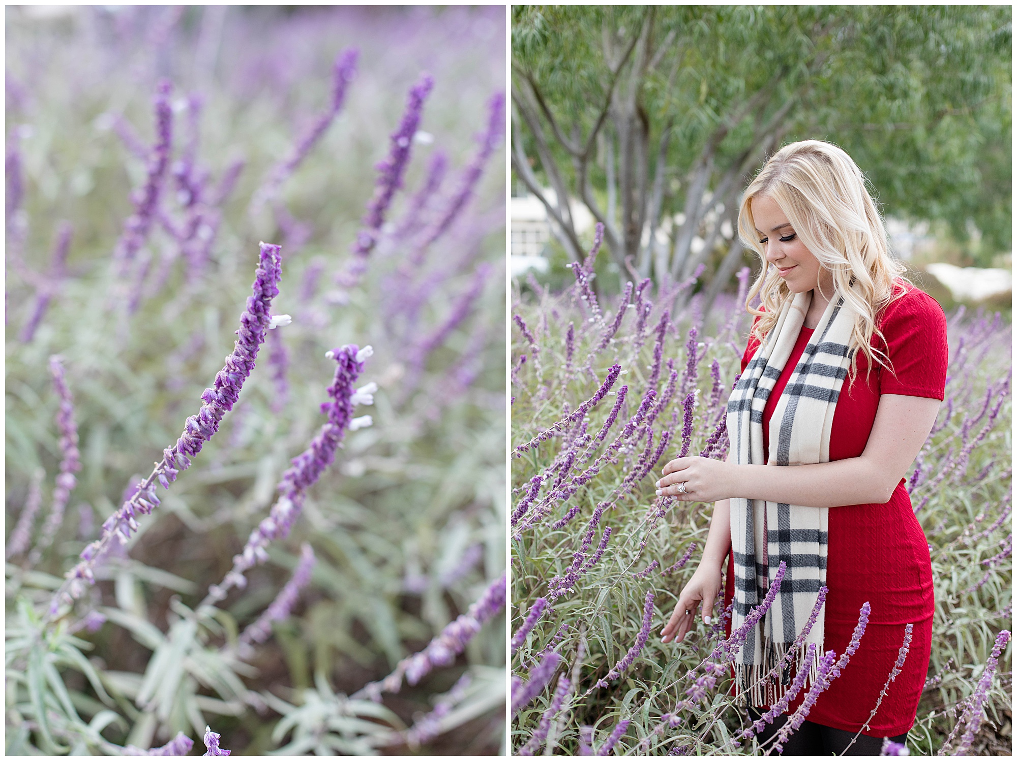 girl in lavender field 