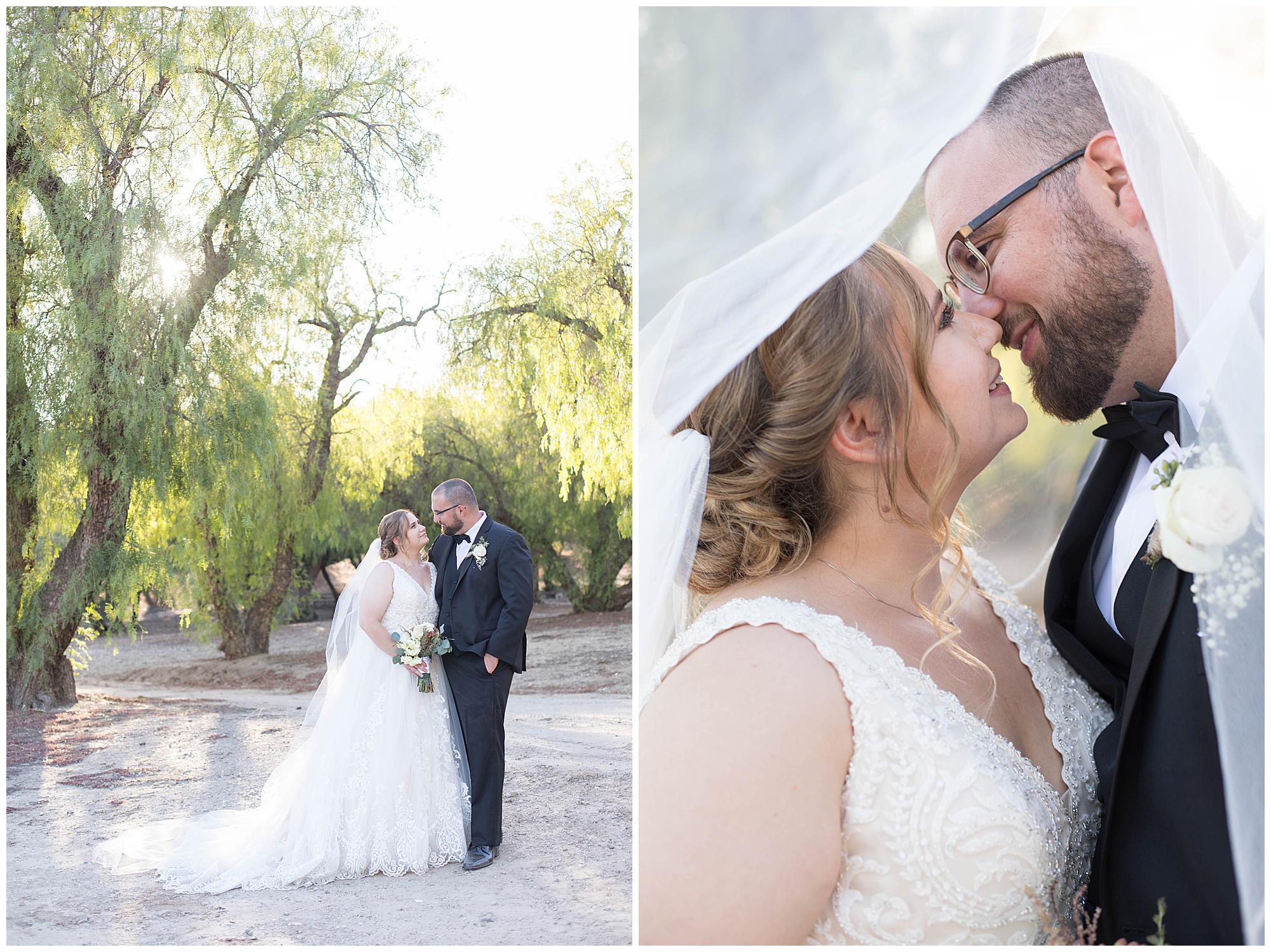 bride and groom portraits with viel
