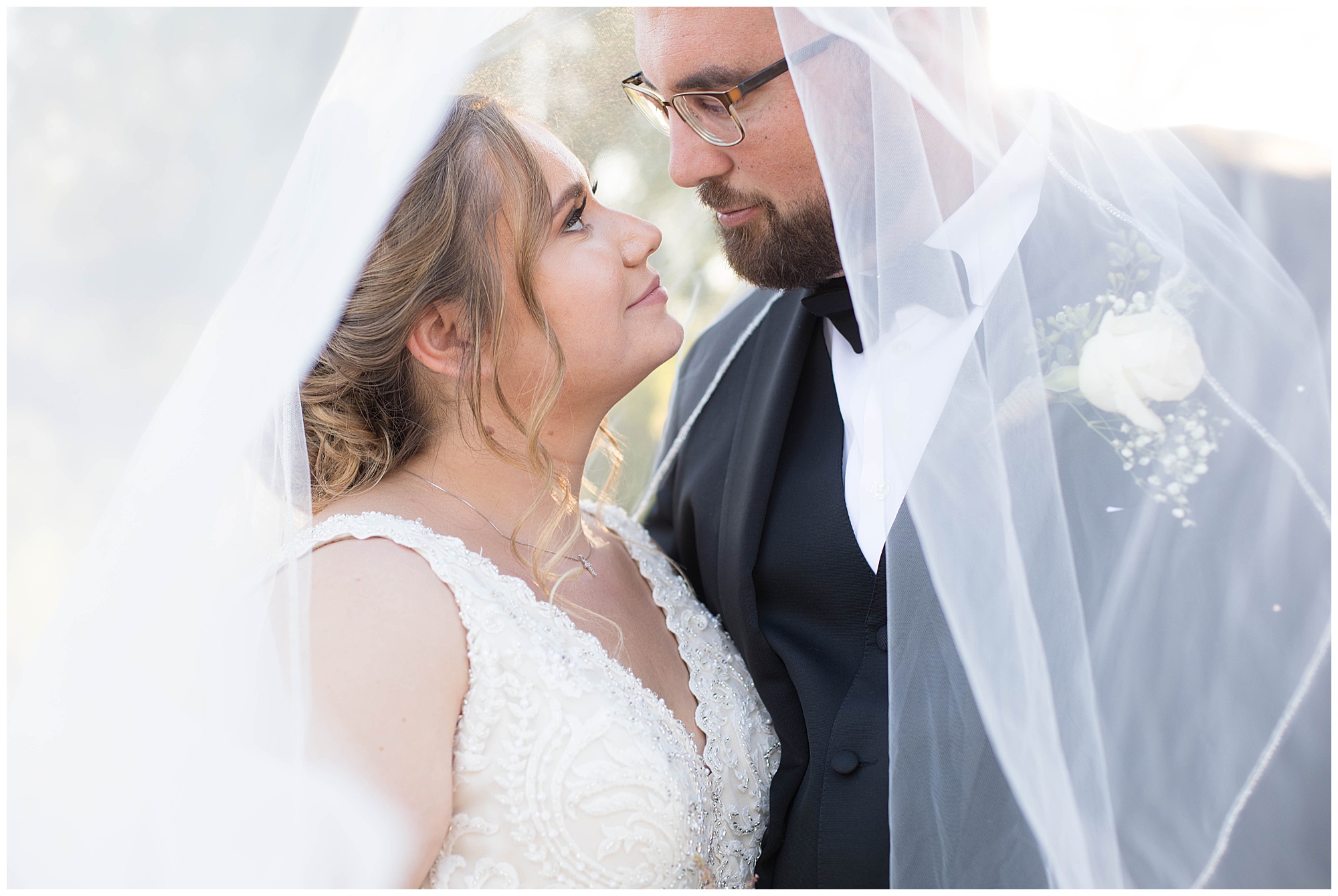 bride and groom portraits with veil over them 