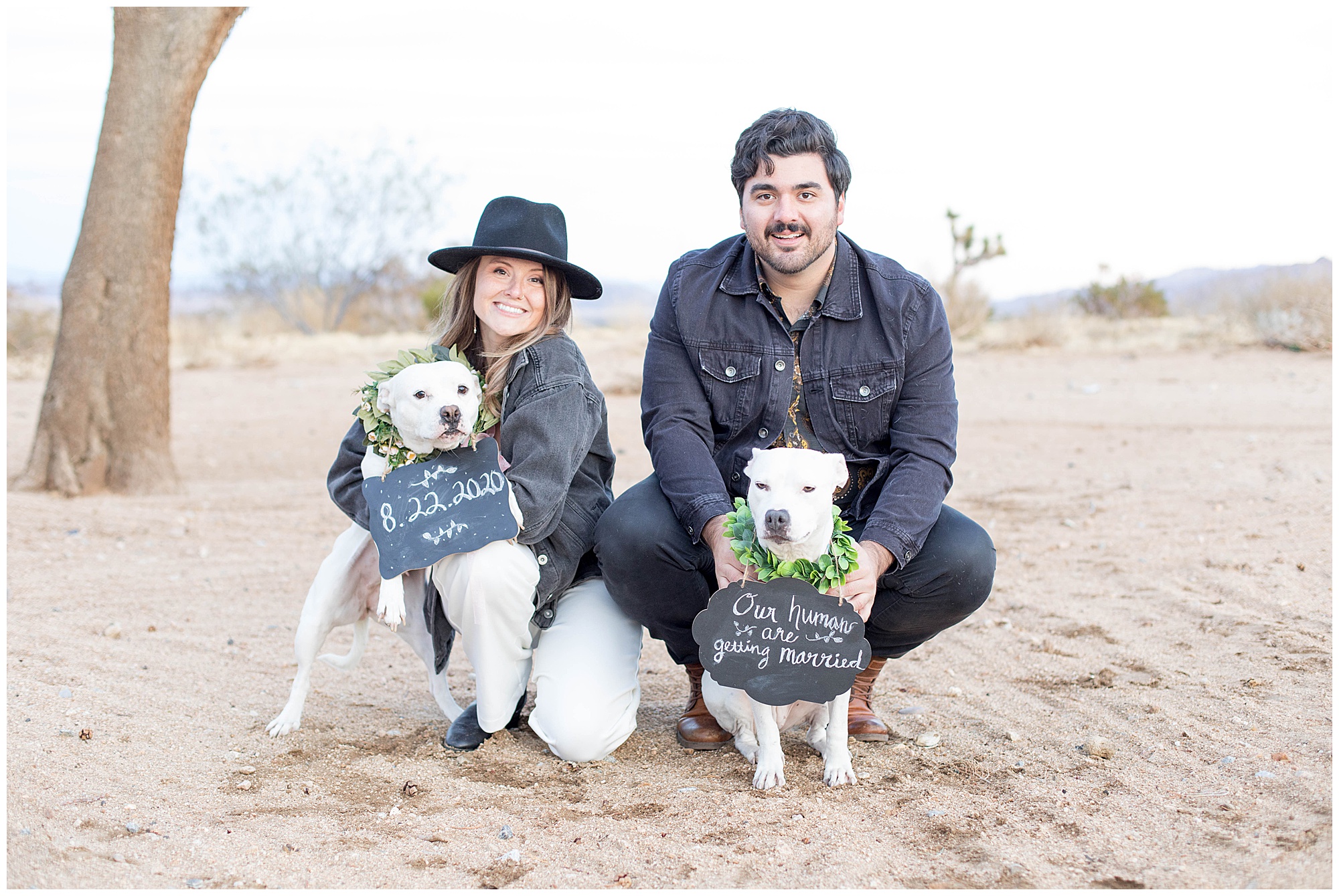 joshua tree engagement photos with dogs