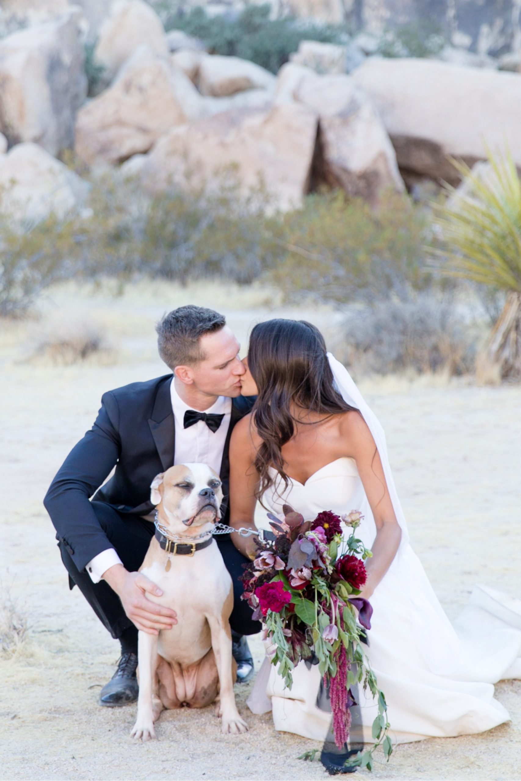 bride and groom with their dog at joshua tree