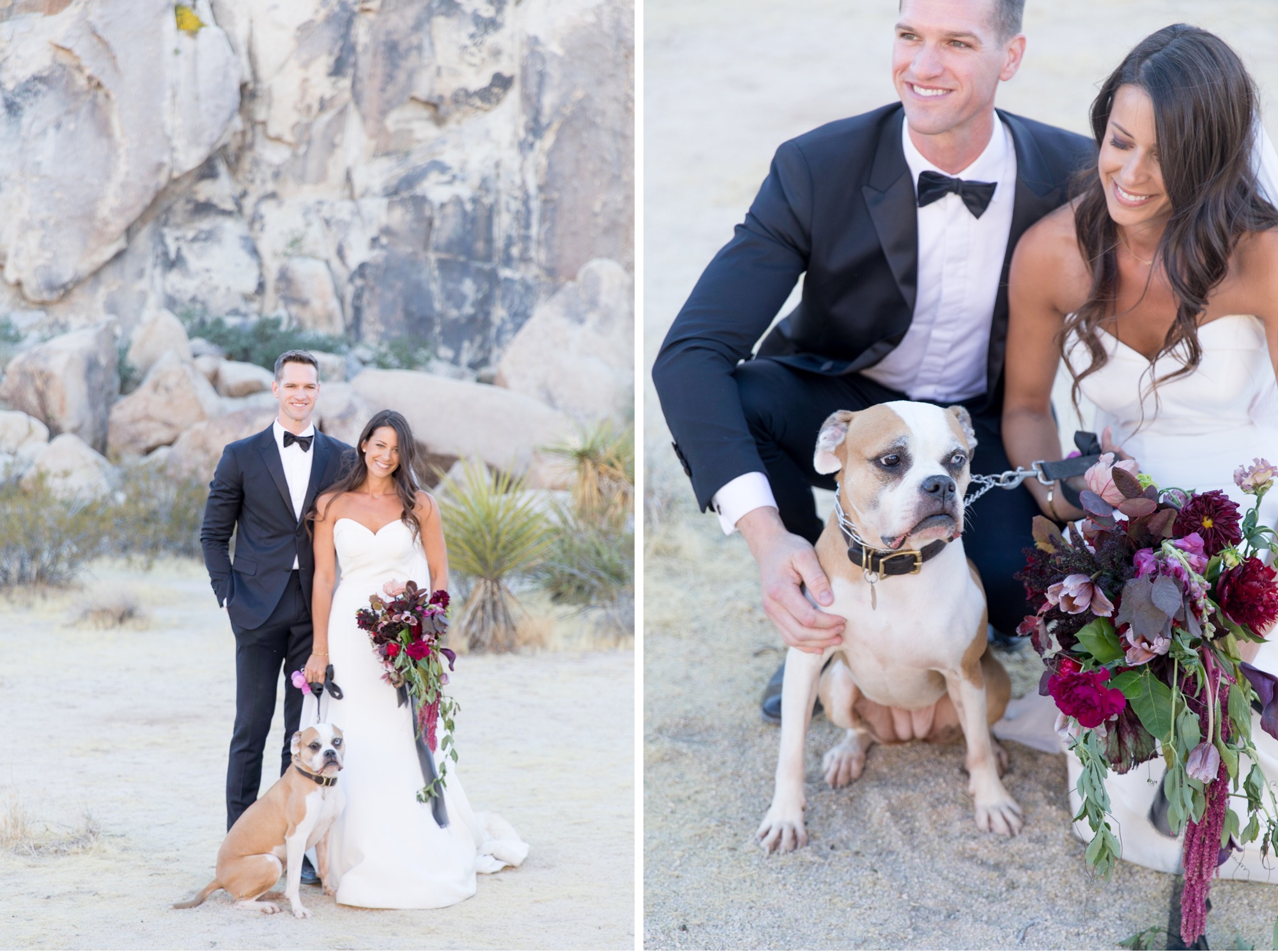 dog wedding photos