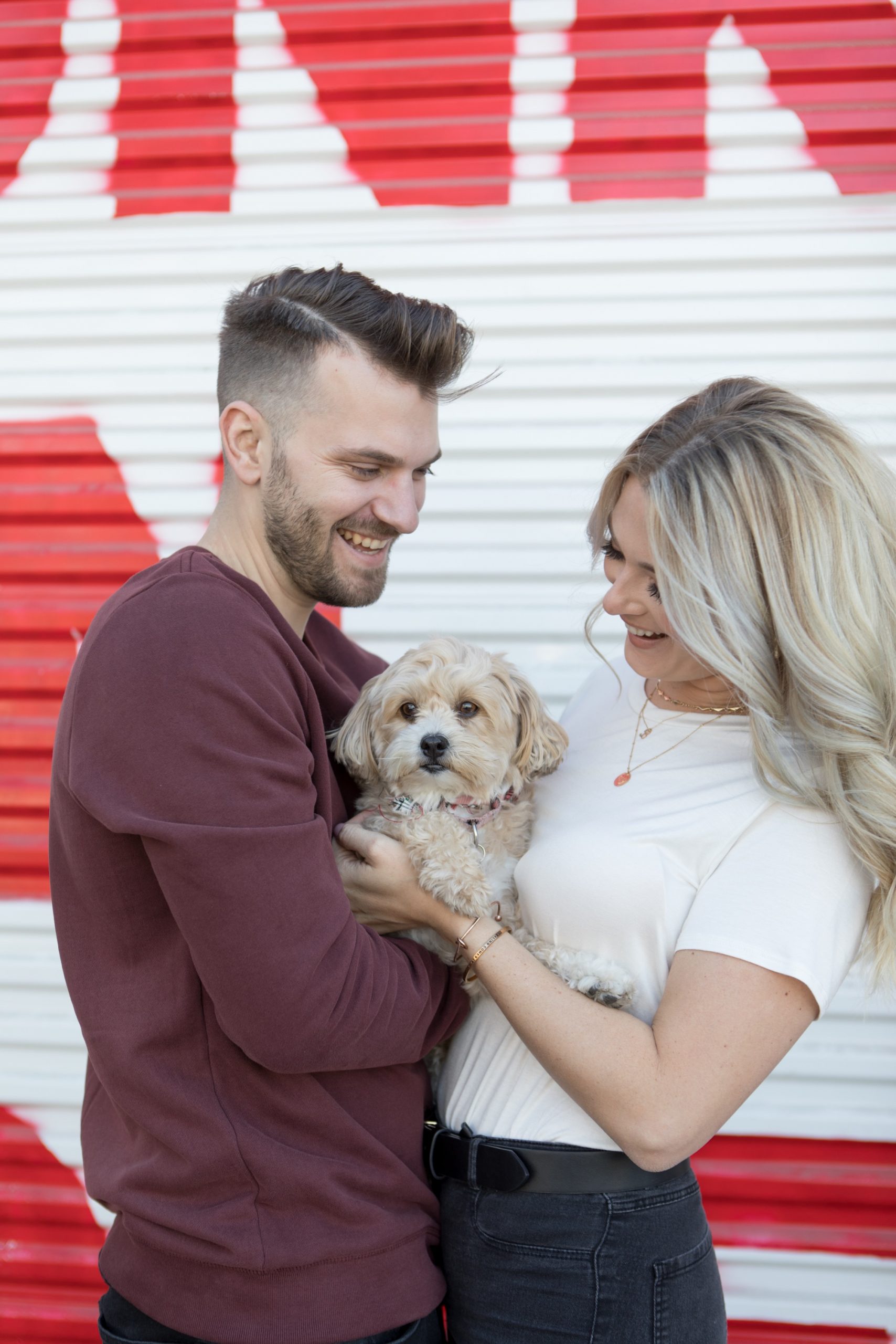 dog engagement photos