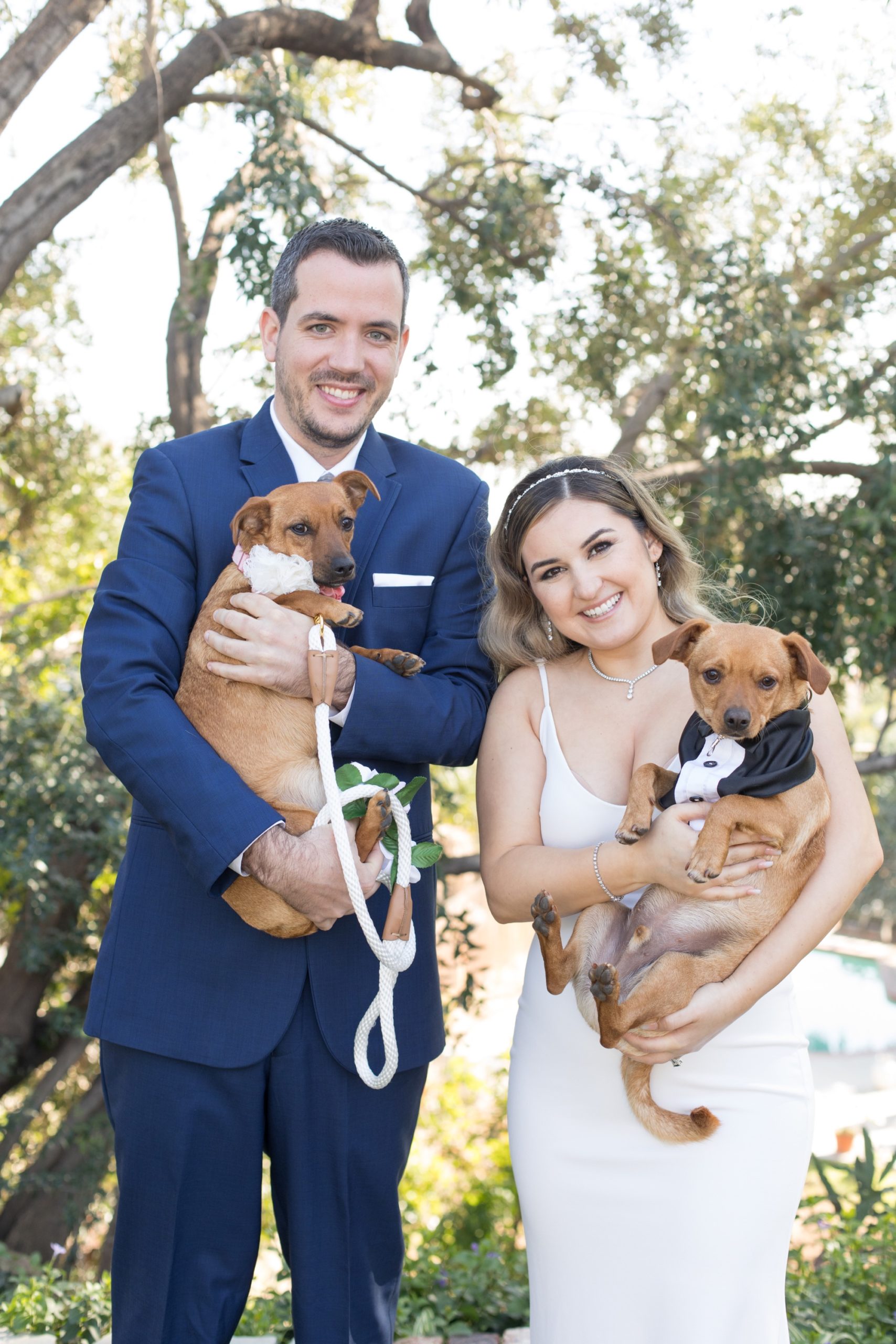 wedding with dogs