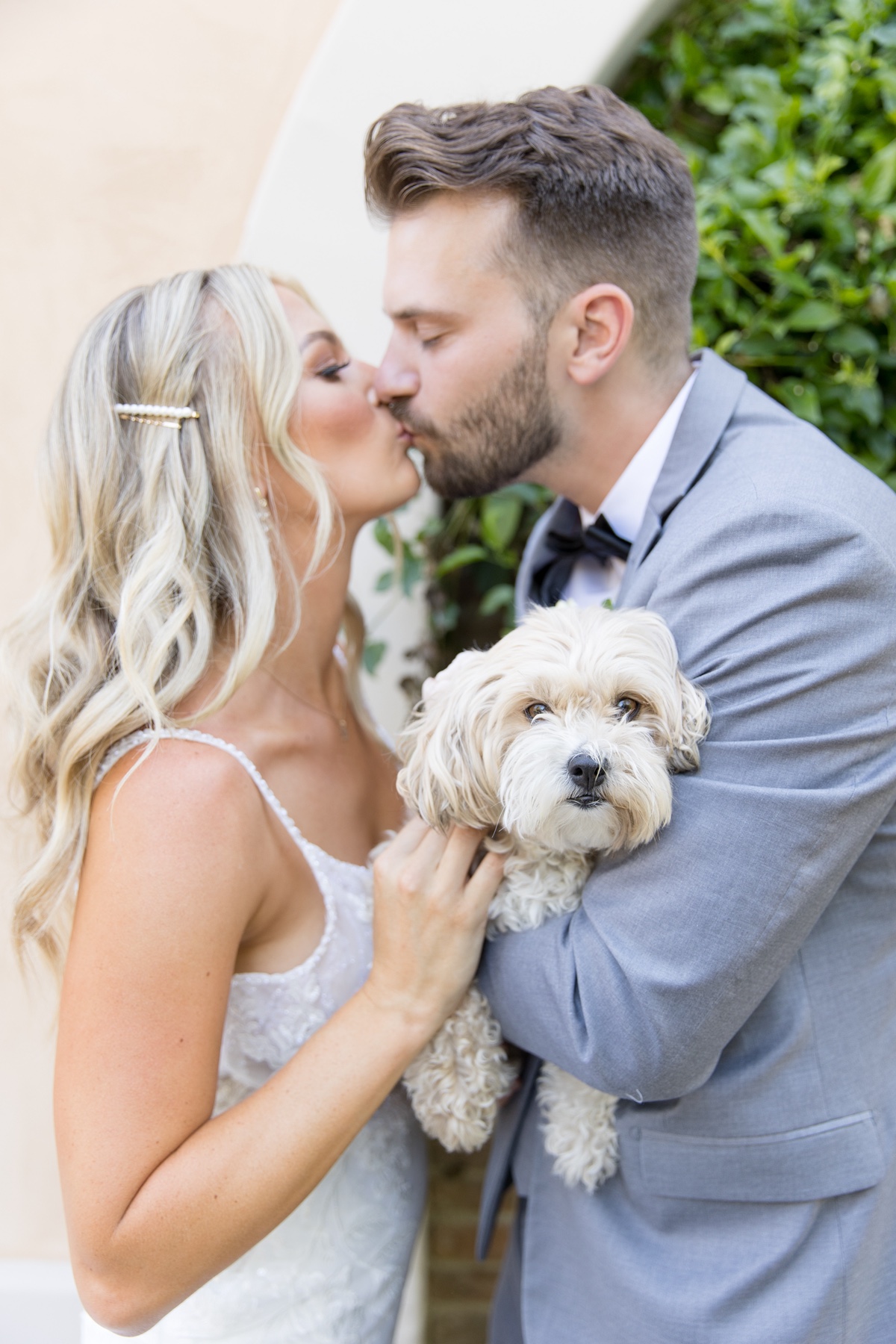 dog wedding photos