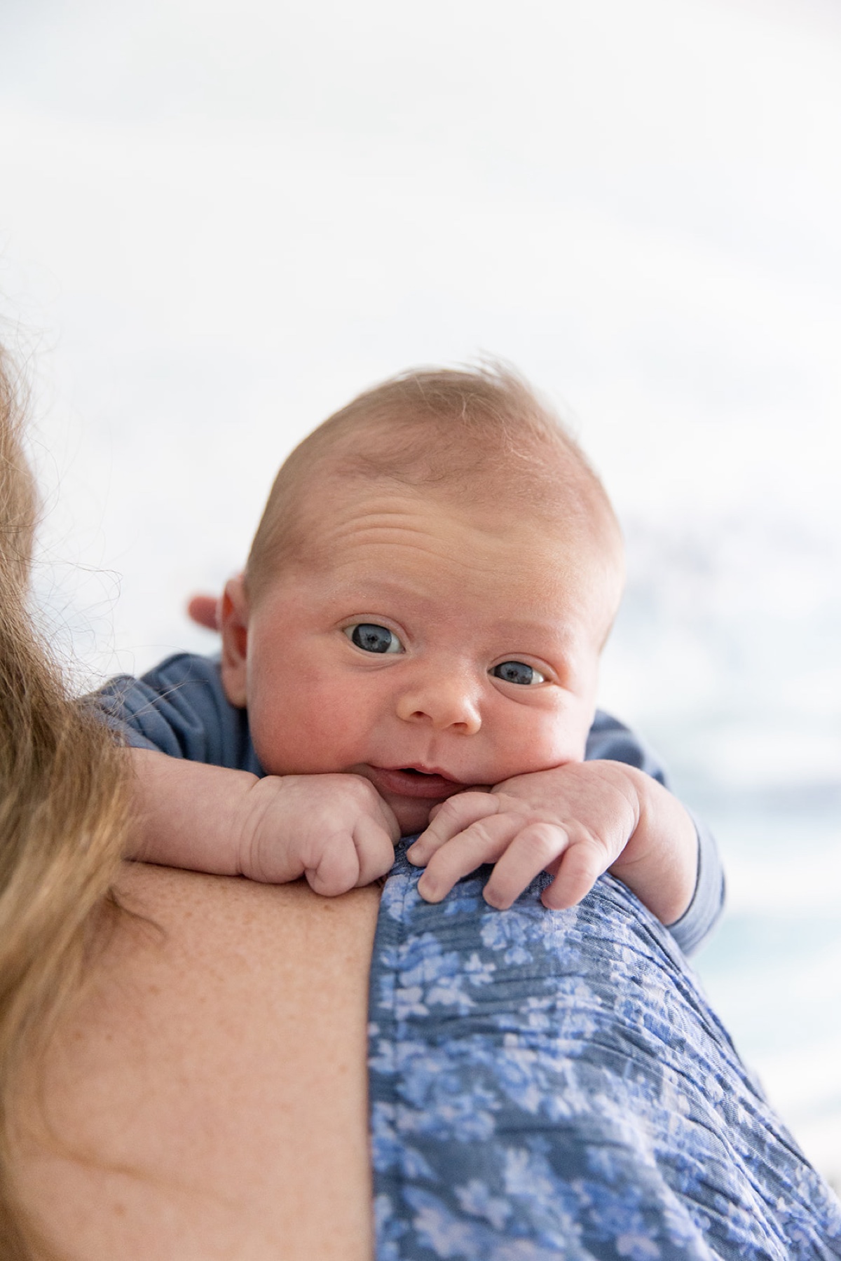 seal beach newborn photographer 