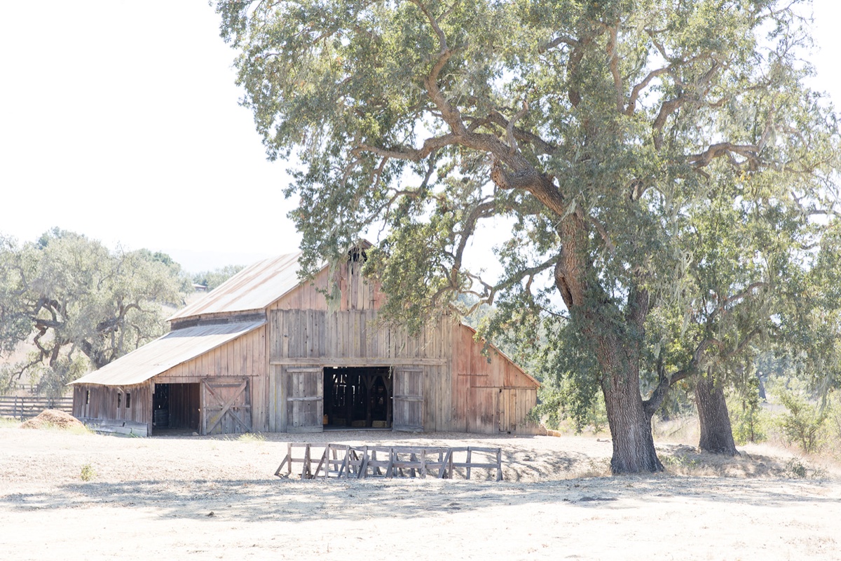 gainey vineyard wedding