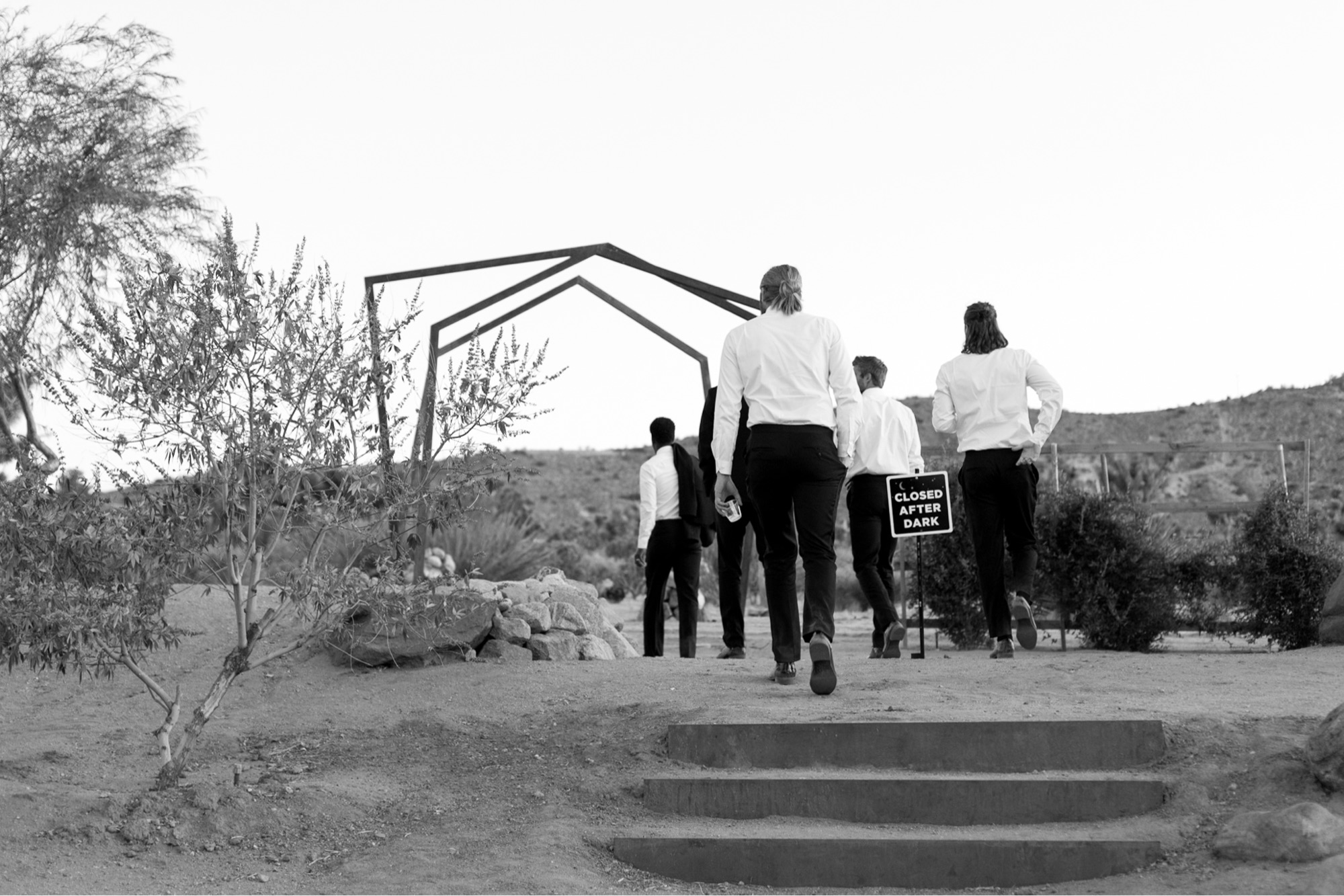 joshua tree wedding