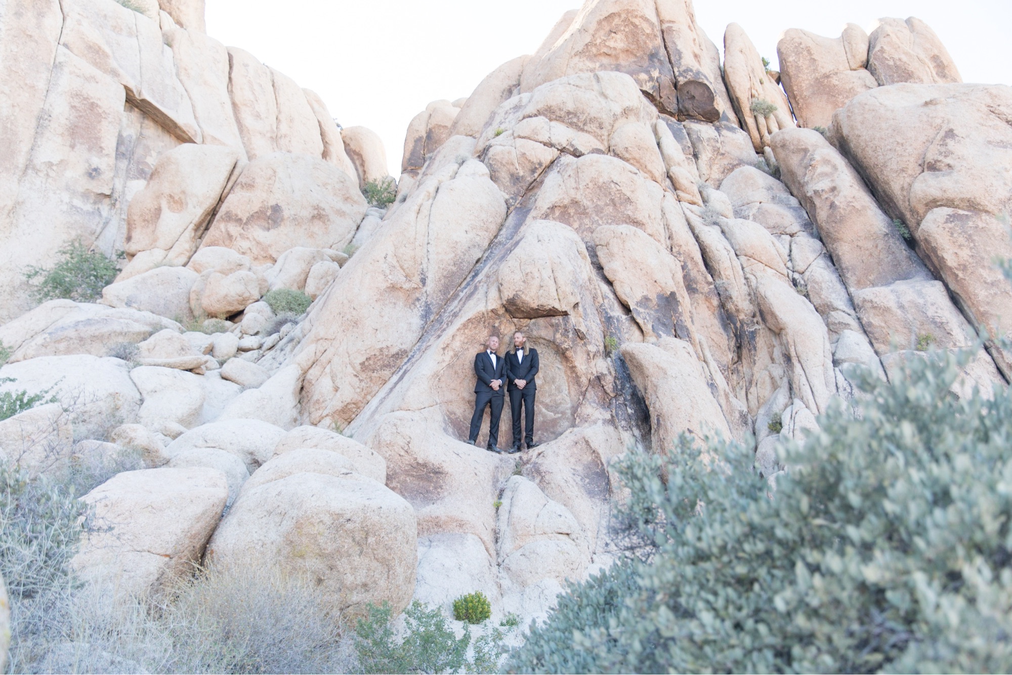 groomsmen at joshua tree